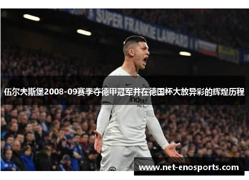 伍尔夫斯堡2008-09赛季夺德甲冠军并在德国杯大放异彩的辉煌历程