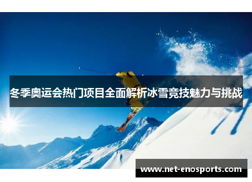 冬季奥运会热门项目全面解析冰雪竞技魅力与挑战