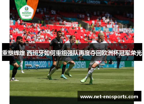 重塑辉煌 西班牙如何重组强队再度夺回欧洲杯冠军荣光