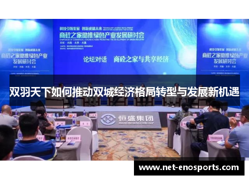 双羽天下如何推动双城经济格局转型与发展新机遇