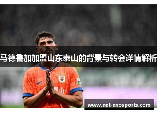 马德鲁加加盟山东泰山的背景与转会详情解析