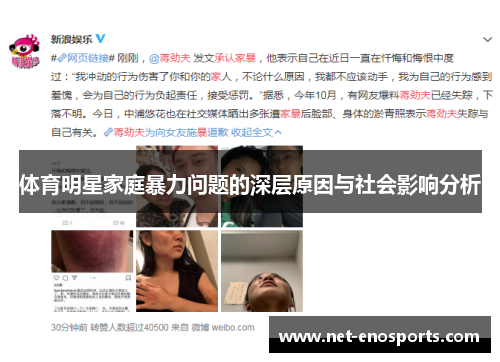 体育明星家庭暴力问题的深层原因与社会影响分析
