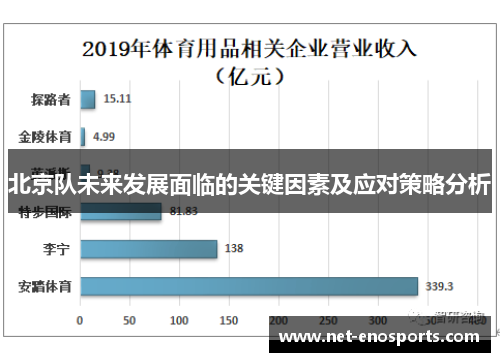 北京队未来发展面临的关键因素及应对策略分析