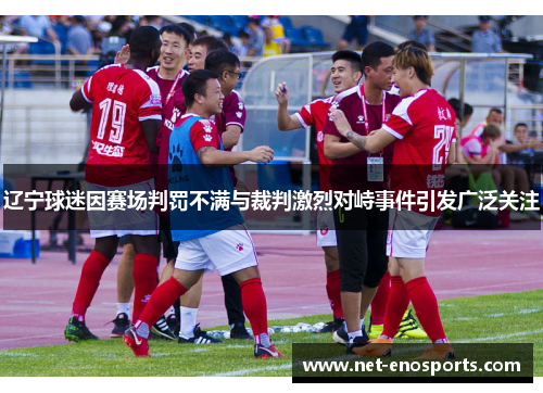 辽宁球迷因赛场判罚不满与裁判激烈对峙事件引发广泛关注