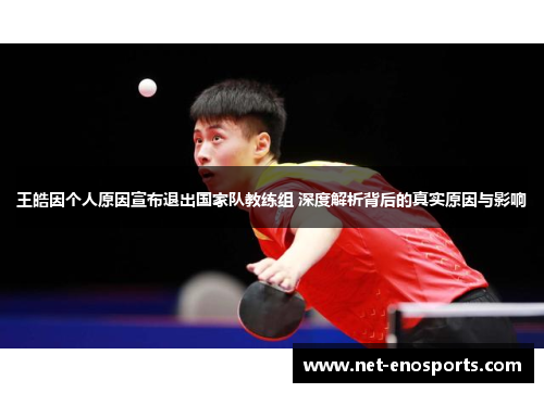 王皓因个人原因宣布退出国家队教练组 深度解析背后的真实原因与影响