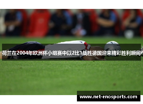 荷兰在2004年欧洲杯小组赛中以2比1战胜德国迎来精彩胜利瞬间