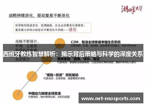 西班牙教练智慧解析：揭示背后策略与科学的深度关系