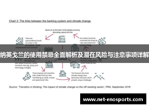 纳英戈兰的使用禁忌全面解析及潜在风险与注意事项详解